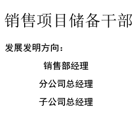 銷售項(xiàng)目?jī)?chǔ)備干部